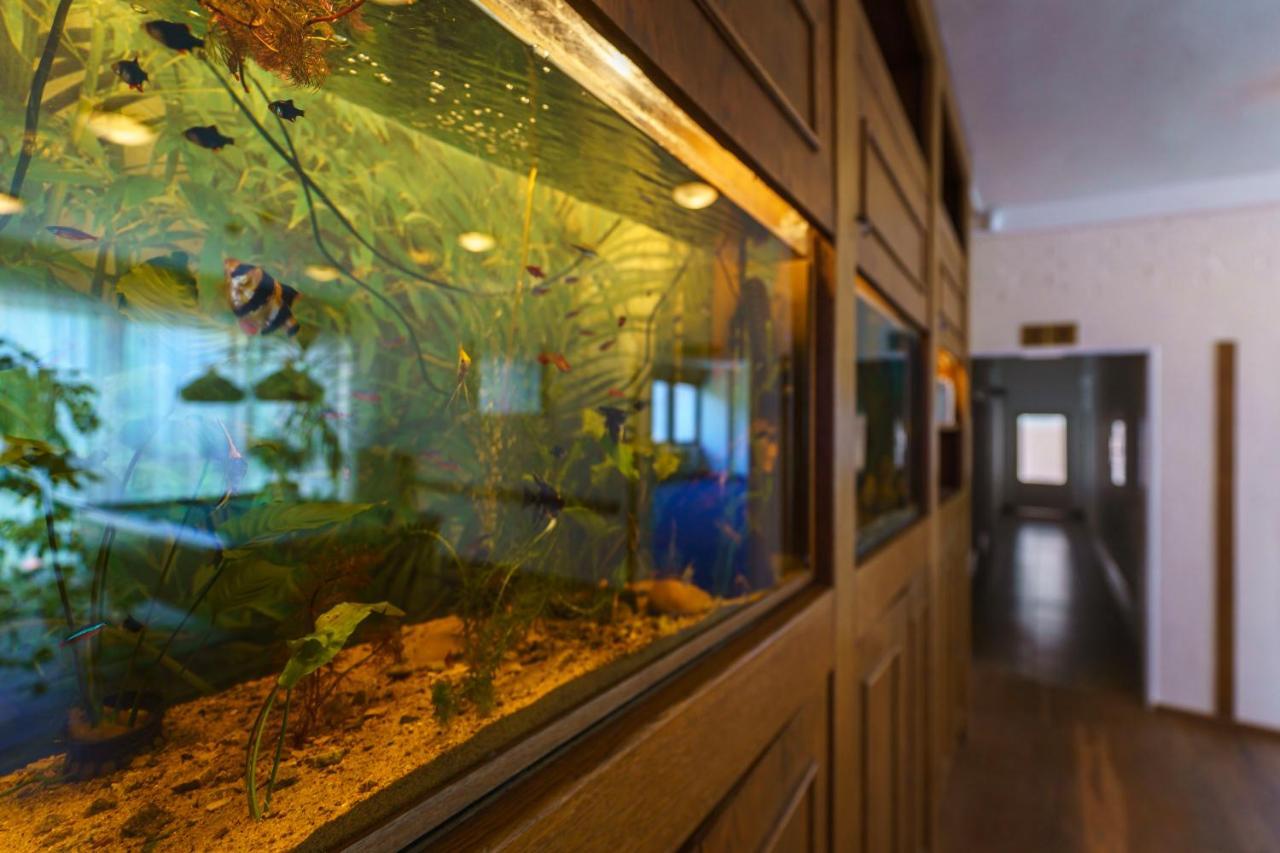 Hotel Hladina Nebrich Bagian luar foto
